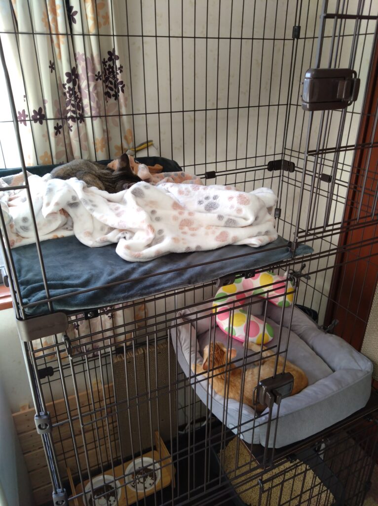 猫用の3段ケージ