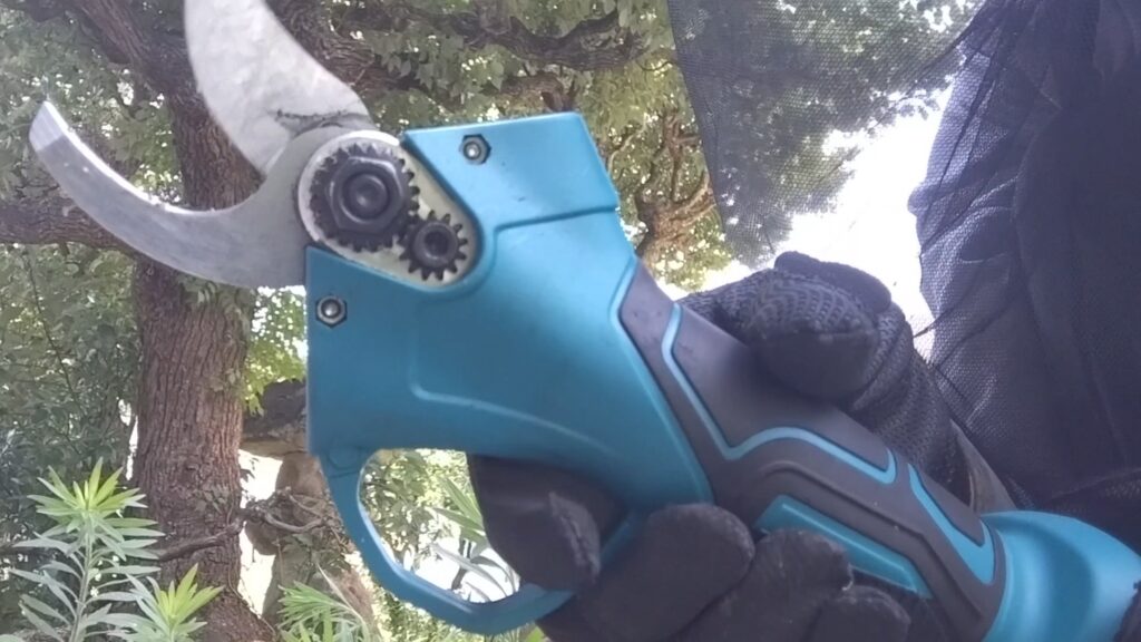 庭の高木の手入れはどうすればよいのか。業者に頼らずに、Amazonで購入した高枝チェーンソーと高枝電動バサミで、剪定、伐採、などの手入れをします。の画像