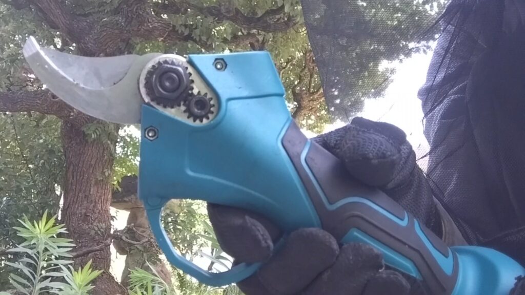 庭の高木の手入れはどうすればよいのか。業者に頼らずに、Amazonで購入した高枝チェーンソーと高枝電動バサミで、剪定、伐採、などの手入れをします。の画像