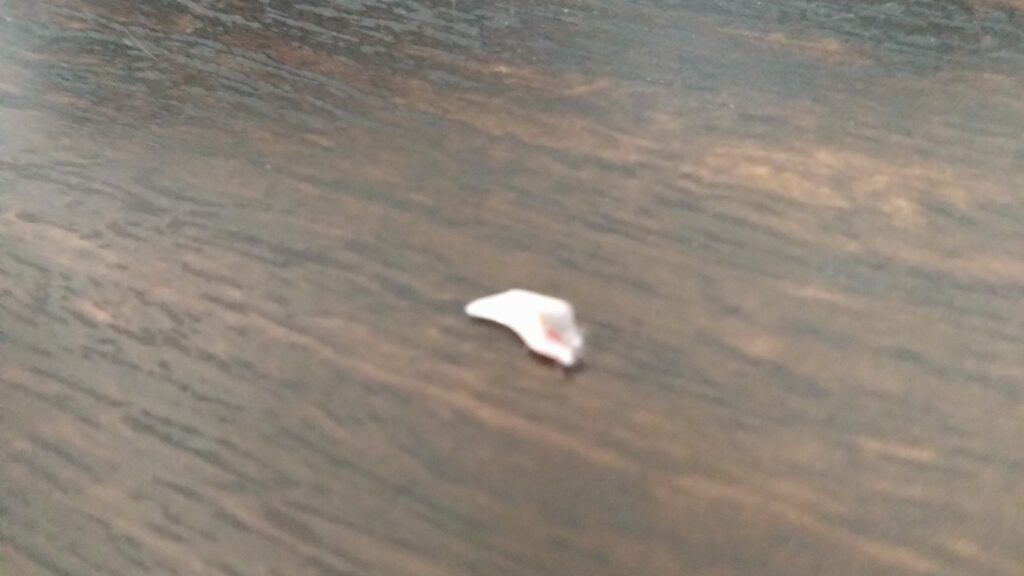 かわいい猫画像と必要なお世話道具と共にゆるーく、振り返ります。猫と一緒に生活して初心者が経験して感じたこと。(物品編其の壱)の画像