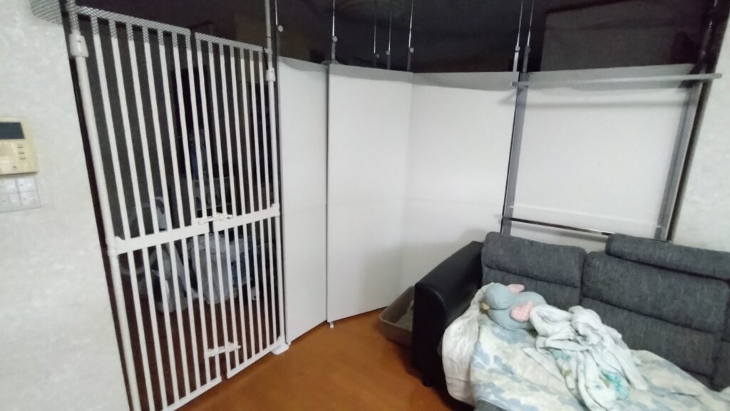 かわいい猫画像と必要なお世話道具と共にゆるーく、振り返ります。猫と一緒に生活して初心者が経験して感じたこと。(物品編其の壱)の画像