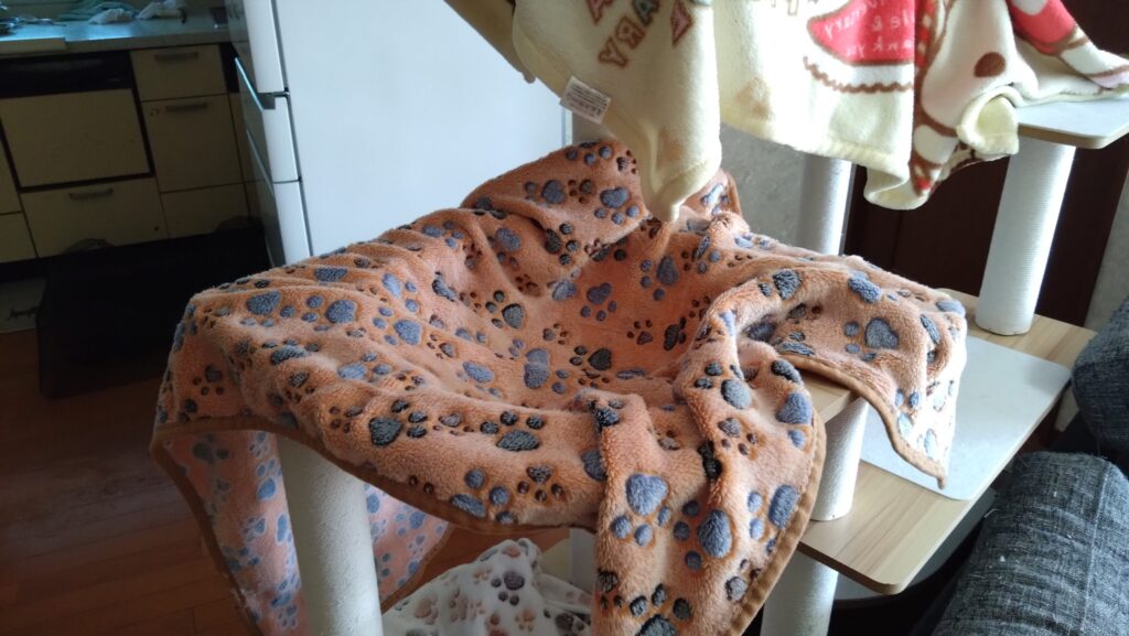 かわいい猫画像と必要なお世話道具と共にゆるーく、振り返ります。猫と一緒に生活して初心者が経験して感じたこと。(物品編其の壱)の画像