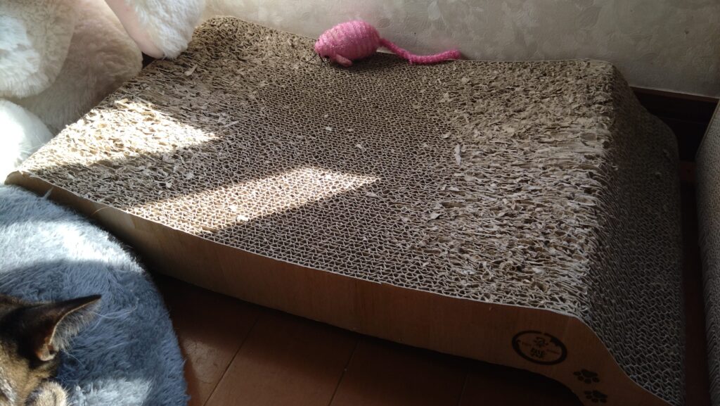 かわいい猫画像と必要なお世話道具と共にゆるーく、振り返ります。猫と一緒に生活して初心者が経験して感じたこと。(物品編其の壱)の画像