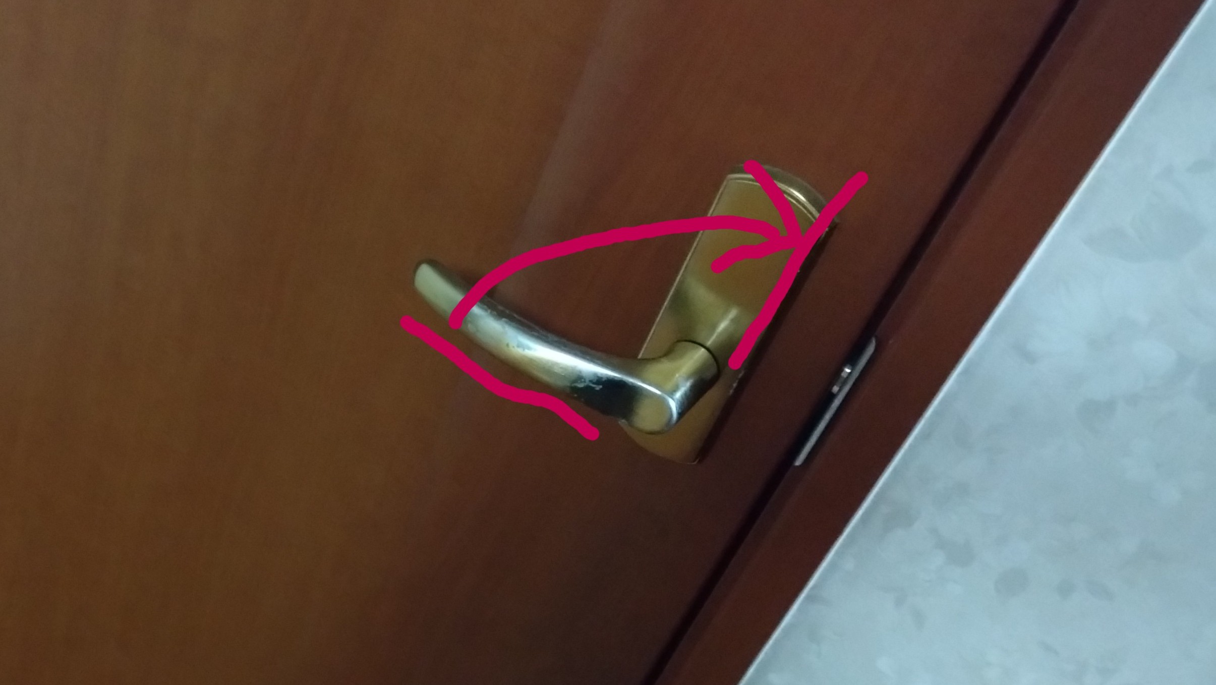 愛猫達が、扉を開けてしまいます。それ、ドアノブを縦に取り付ければ防げるかも！の画像