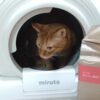 話題のおすすめレンタルサービス”mirutoの自動猫トイレ「lala」”